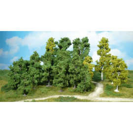 Assortment of 14 leafy trees 5-12 cm 