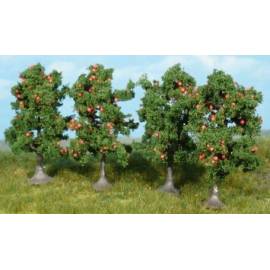 Lots of 5 apple trees 7cm