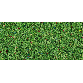 Light flowering meadow ground cover 85g