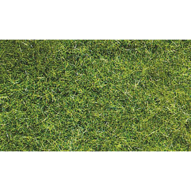 Bag 75 g of dark green wild grass 5-6 mm 