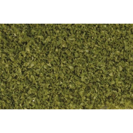 Olive green foliage 200 ml