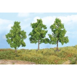 3 fruit trees 11 cm 