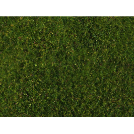 Meadow foliage, medium green 20 x 23 cm 