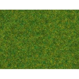 Ornamental lawn grasses - 2.5 mm - 20g