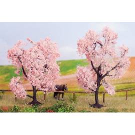 2 Almond trees 8 and 9 cm