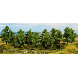 16 Deciduous trees 4 to 10 cm