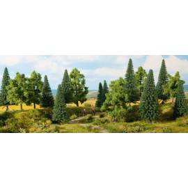 16 Forest trees 10 to 14 cm