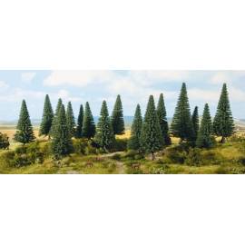 16 fir trees 4 to 10 cm