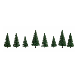 8 fir trees 8-12 cm