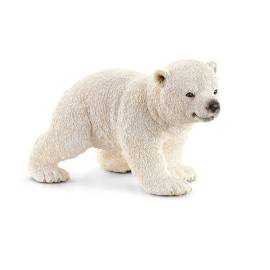 Polar bear cub walking