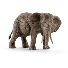 female African elephant