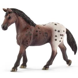 Appaloosa mare