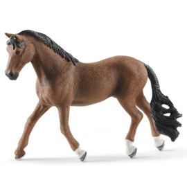 Trakehner gelding