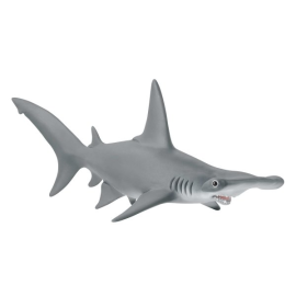 Hammerhead shark