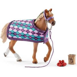 English Thoroughbred with blanket