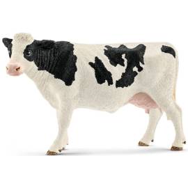 Holstein cow