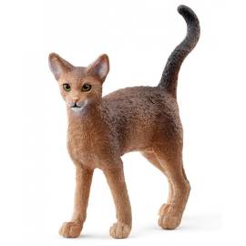 Abyssinian Cat