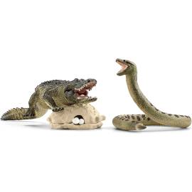 Alligator versus Anaconda duel