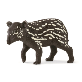 Young tapir 