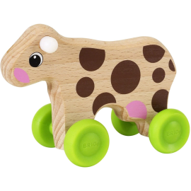 Mini cow to push