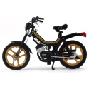 Moped MOTRON GL-4 black gold rims LEO MODELS