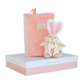 Pink sugar bunny - Health book protector box with cuddly toy Plush 