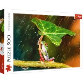 500 Piece Puzzle The Frog in the Rain 