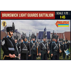Figure 1:72 Brunswick Light Guards Battalion