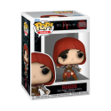 Diablo 4 Pop Rogue Pop figures 