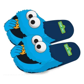 1, Sesame Street - Slippers L-XL 