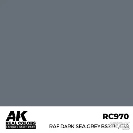 RAF Dark Sea Gray BS381C/638 17 ml. Paint 