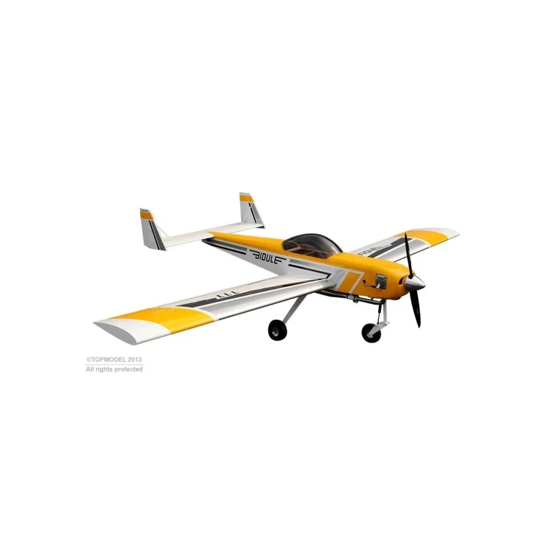 Ecotop Bidule 111 ARF aircraft approx. 3.00m RC plane 