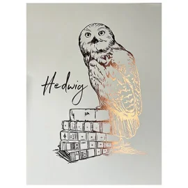 Hedwig Rigid Poster - Harry Potter 