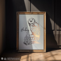 Hedwig Rigid Poster - Harry Potter MNS