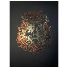 Hogwarts Hardcover Poster - Harry Potter 