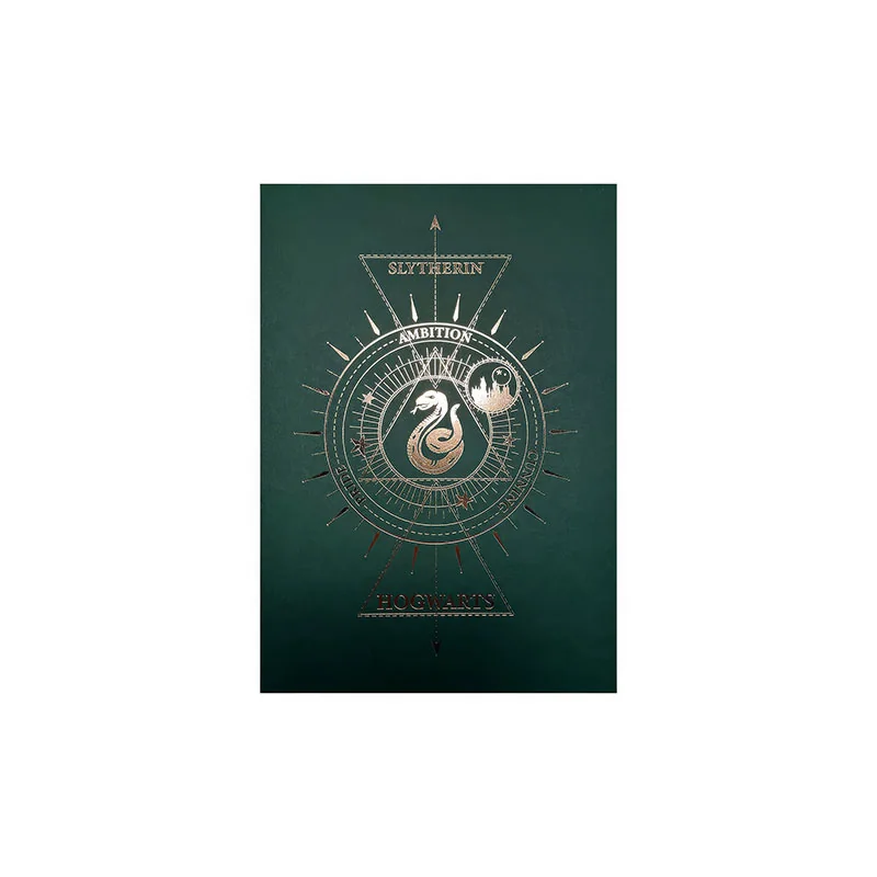 Slytherin Rigid Poster - Harry Potter 