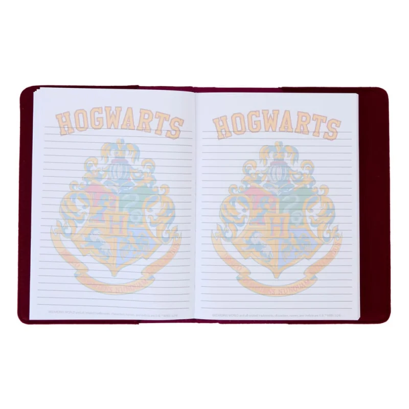 Harry Potter by Loungefly notebook Loungefly