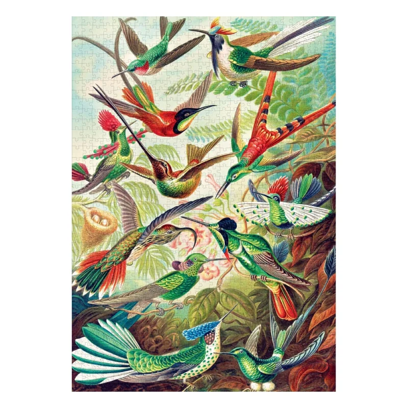 Ernst Haeckel puzzle Imagination Hummingbirds/Kolibry (1000 pieces) Good Loot