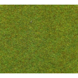 Light green Carpet 30x40 