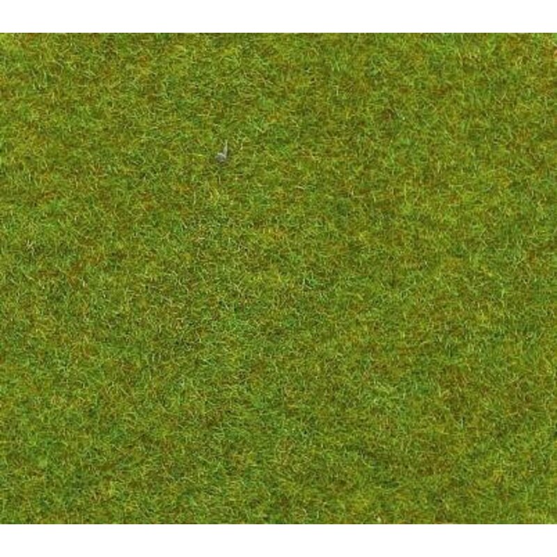 Light green Carpet 40x60