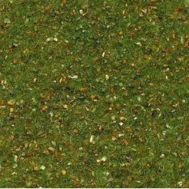 Forest green Carpet 30x40