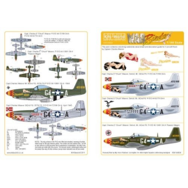 Decals North-American P-51D Mustang Captain Charles Weaver′s ′Passion Wagon′ 3 aircraft, 5 versions. 44-13691 G4-A OD/Grey with 