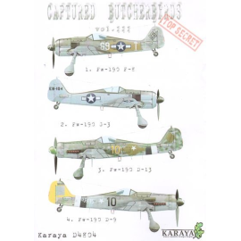 Decals Captured Butcherbird Part 3 (5) Fw 190F-8 G9-T 509thFS/404thFG; Fw 109G-3 W.Nr 160016 Tested at Wright Fielkd 1944; Fw 19