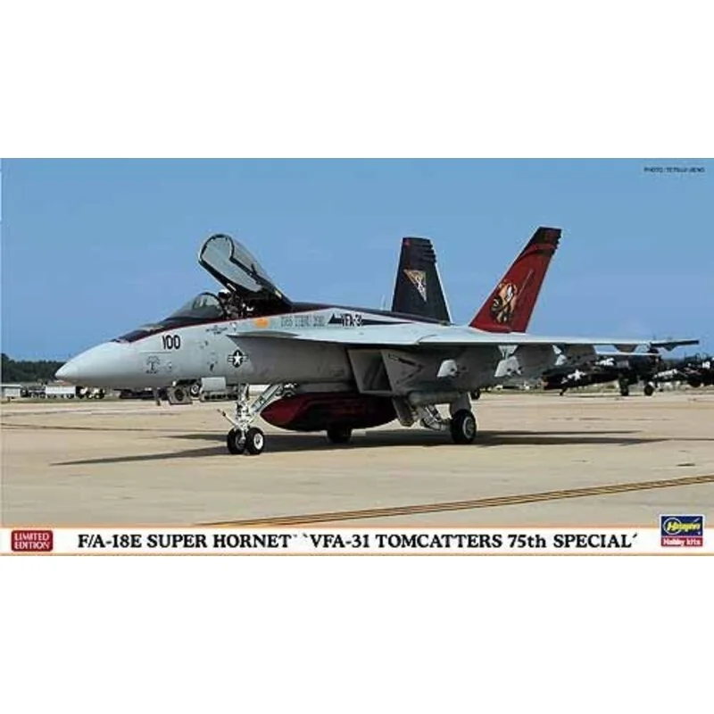   F/A-18E VFA -31 Tomcatter