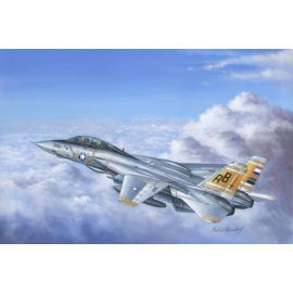Grumman F-14A Tomcat Model kit