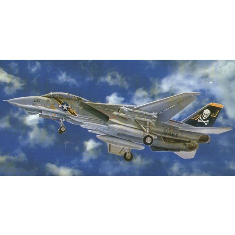 Grumman F-14A Tomcat Model kit