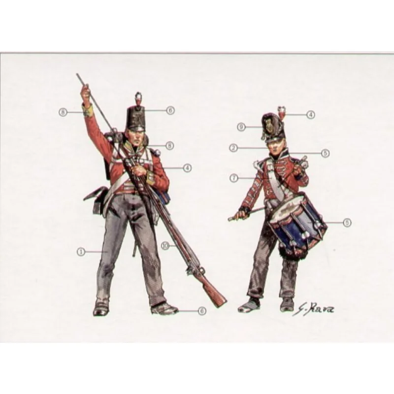 Napoleonic Wars British Infantry 1815