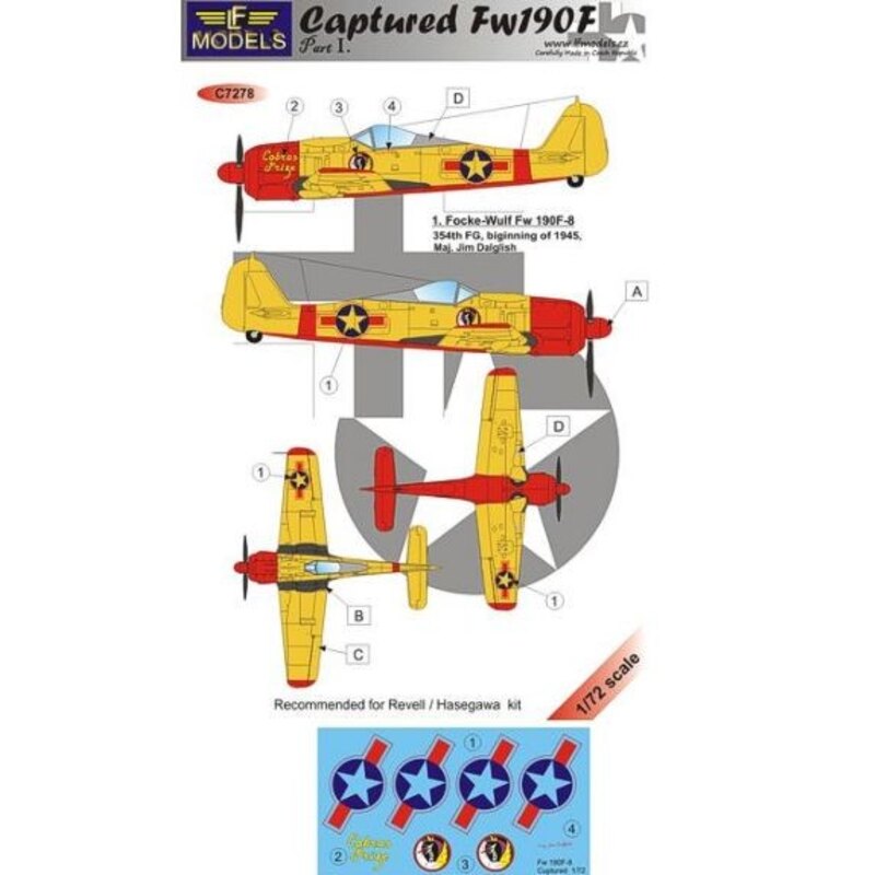 Captured Fw 190F Part I. (designed to be used with Revell and Hasegawa kits) 