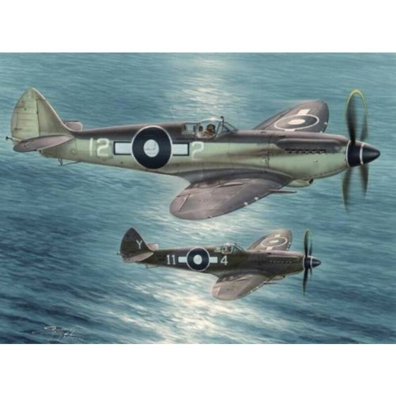 Supermarine Seafire F Mk.XV Far East Service. The kit contains three sprues with grey plastic parts, one sprue with clear parts,