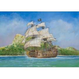 Pirate Ship 'Black Swan' Model kit